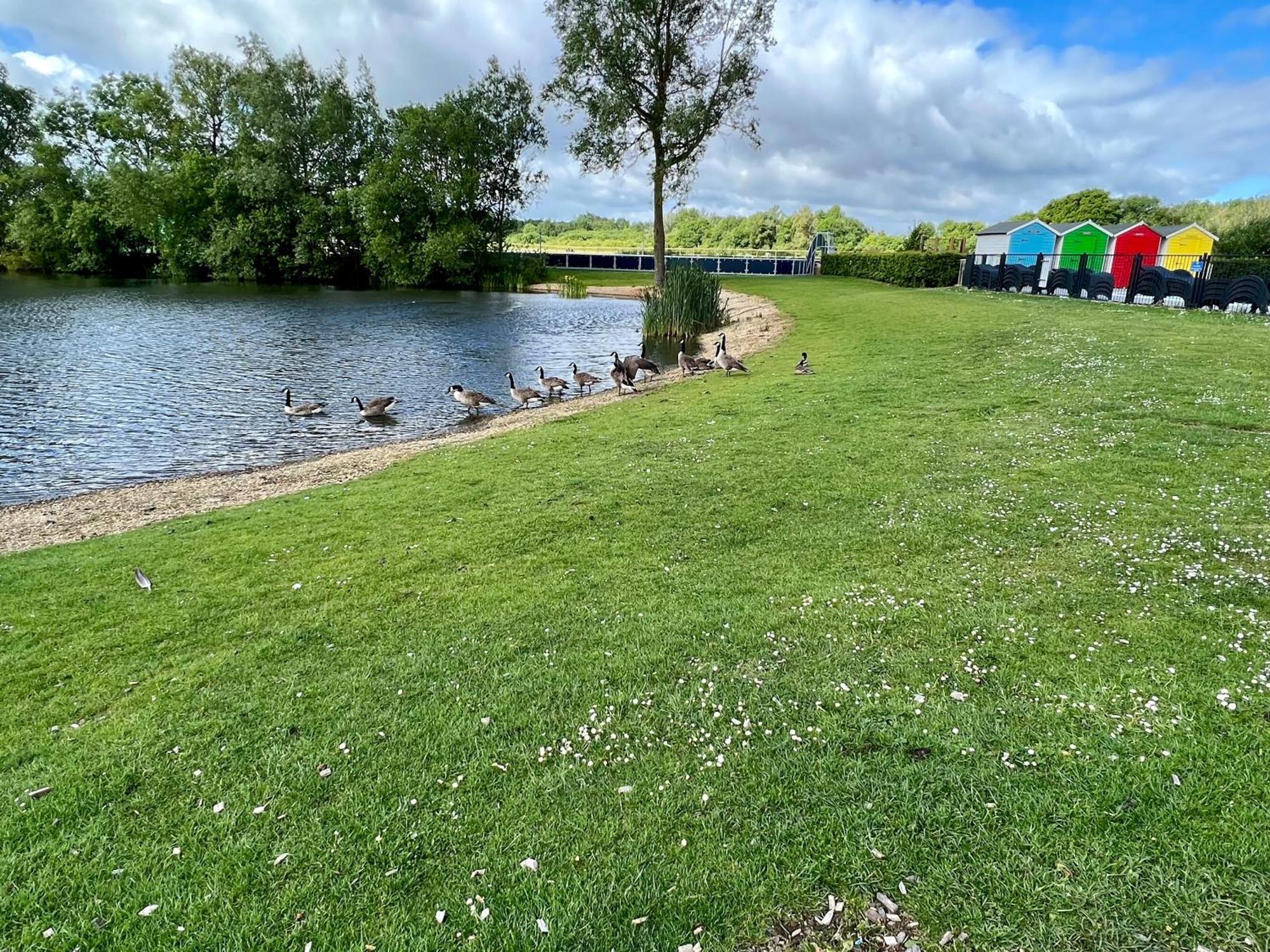 Paws Lodge, Hot Tub, Pet Friendly South Cerney Extérieur photo